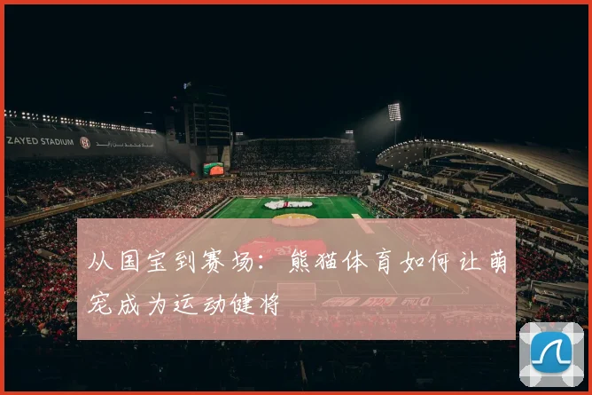 从国宝到赛场：熊猫体育如何让萌宠成为运动健将