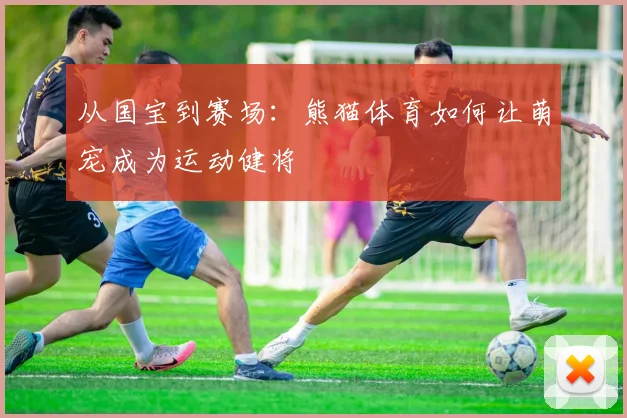 从国宝到赛场：熊猫体育如何让萌宠成为运动健将